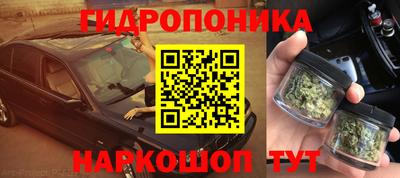 a pvp Бийск