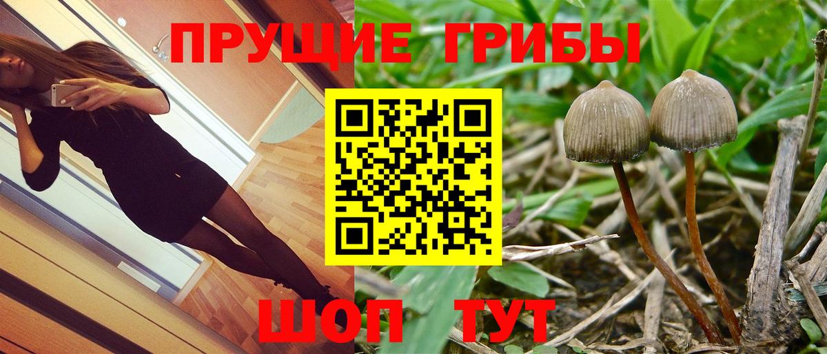 Галлюциногенные грибы мицелий Гуково