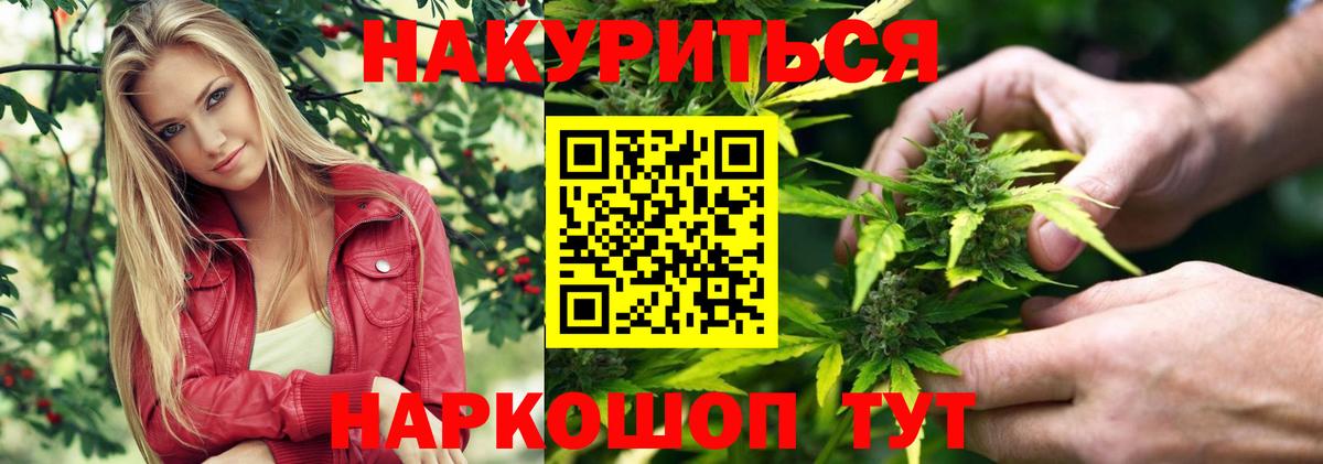 Каннабис планчик  Марихуана семена  Вход с VPN  Конопля Ganja  Бошки Шишки MAZAR  Гуково 